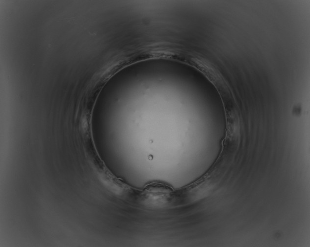 X0000091450573200708301812