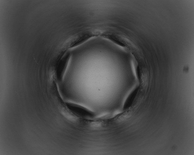 X0000091450574200708301812