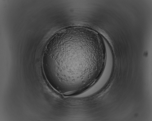 X0000091450577200708301812