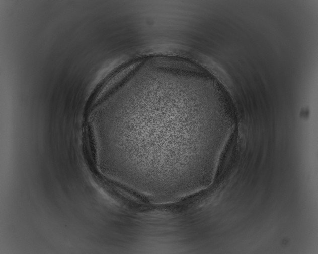 X0000091450578200708301812