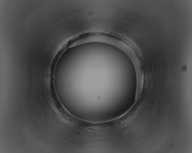 X0000091450580200708301812