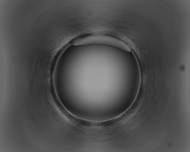 X0000091450581200708301812