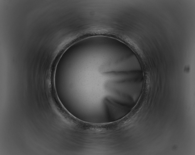 X0000091450582200708301812