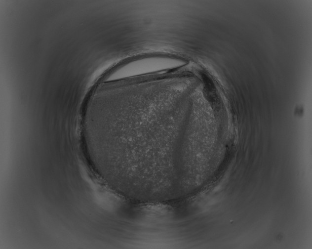 X0000091450583200708301812