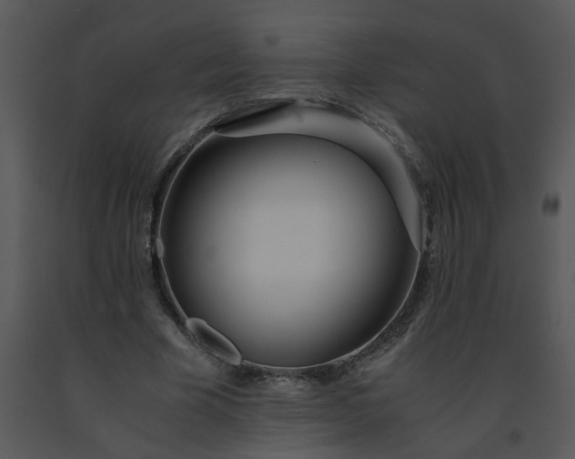 X0000091450585200708301812