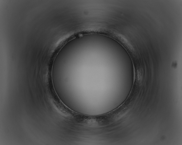X0000091450588200708301812