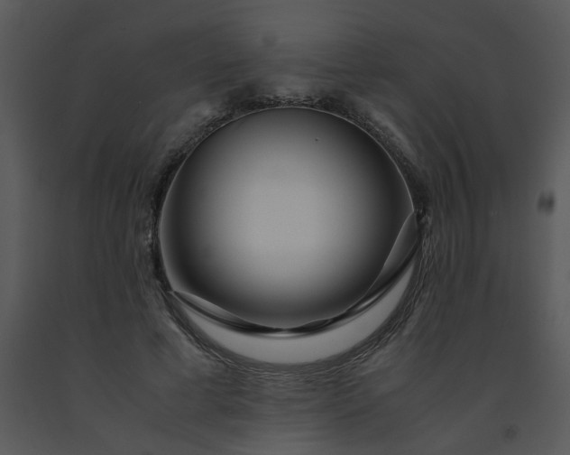X0000091450593200708301812