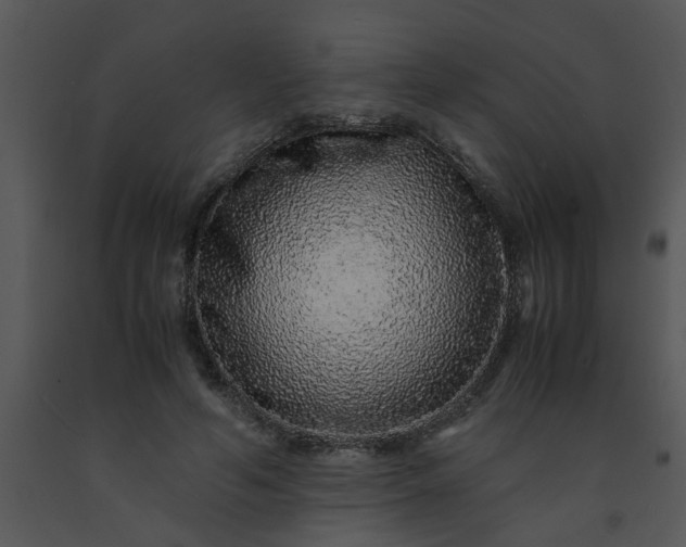 X0000091450594200708301812