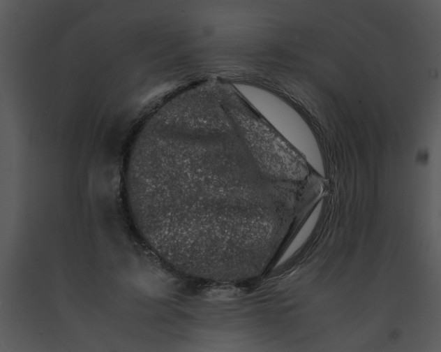 X0000091450595200708301812