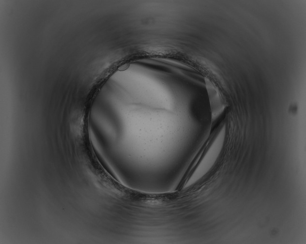 X0000091450596200708301812