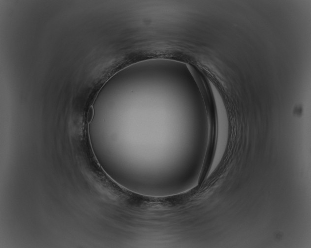 X0000091450597200708301812