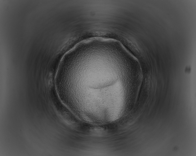 X0000091450598200708301812