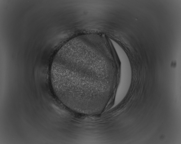 X0000091450599200708301812