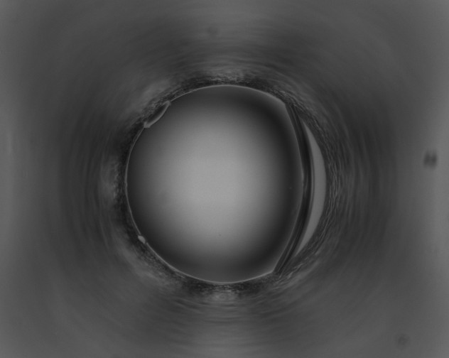 X0000091450600200708301812