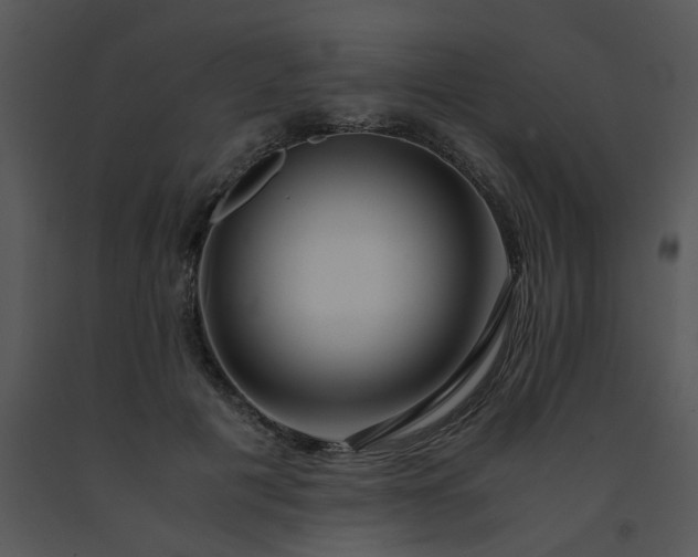 X0000091450601200708301812