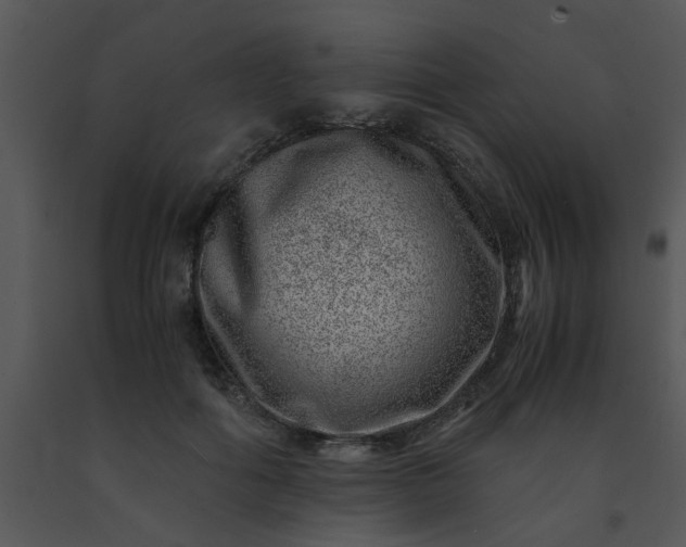 X0000091450602200708301812