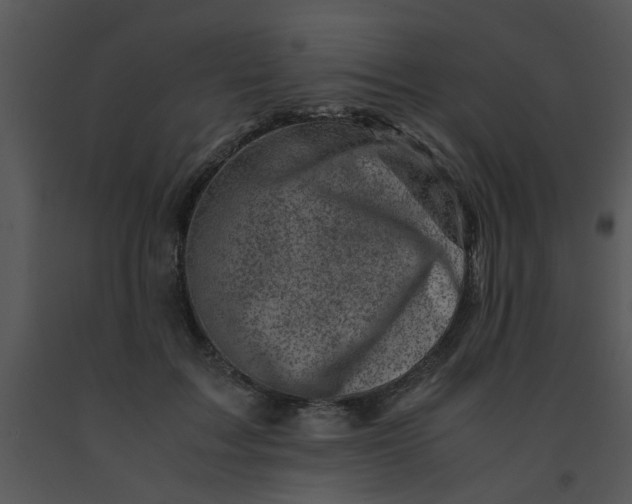 X0000091450603200708301812