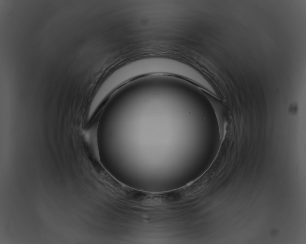 X0000091450604200708301812