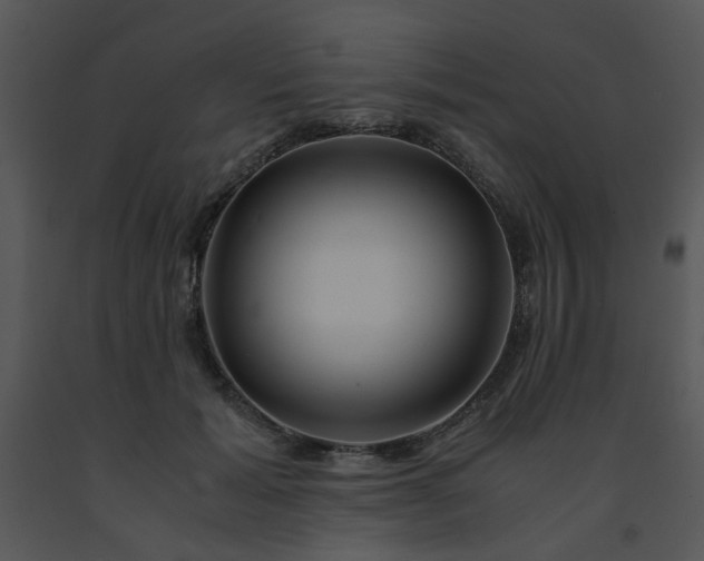 X0000091450605200708301811