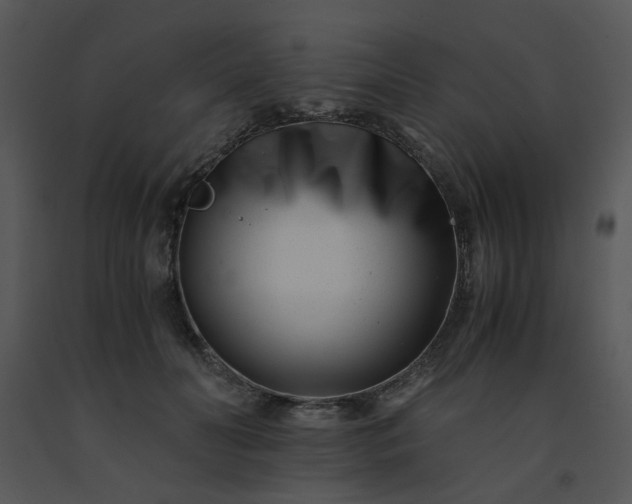 X0000091450606200708301811