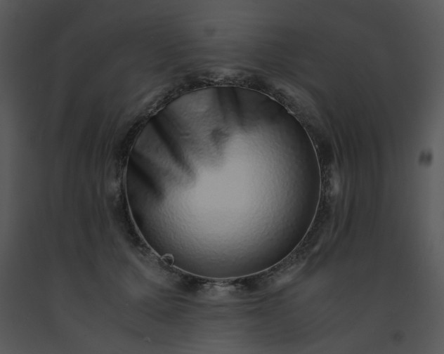 X0000091450607200708301811