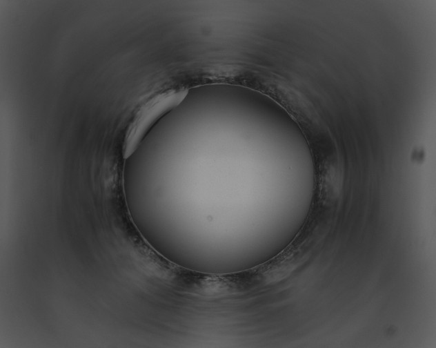 X0000091450608200708301811