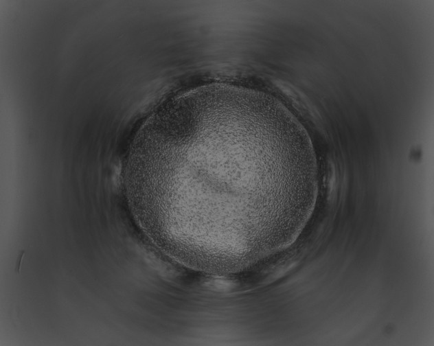 X0000091450610200708301811