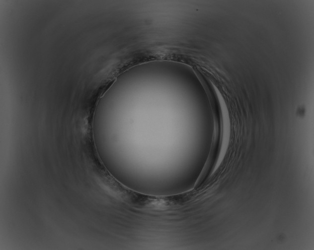 X0000091450611200708301811