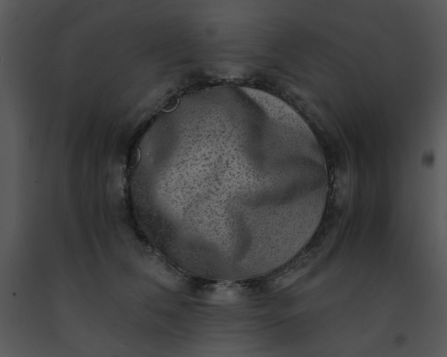 X0000091450612200708301811