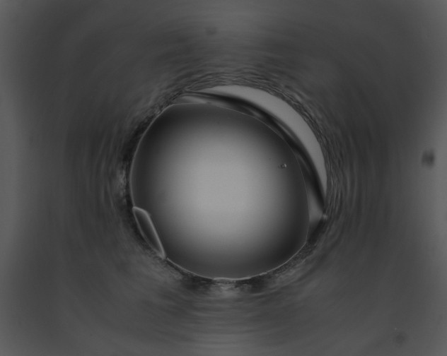X0000091450613200708301811