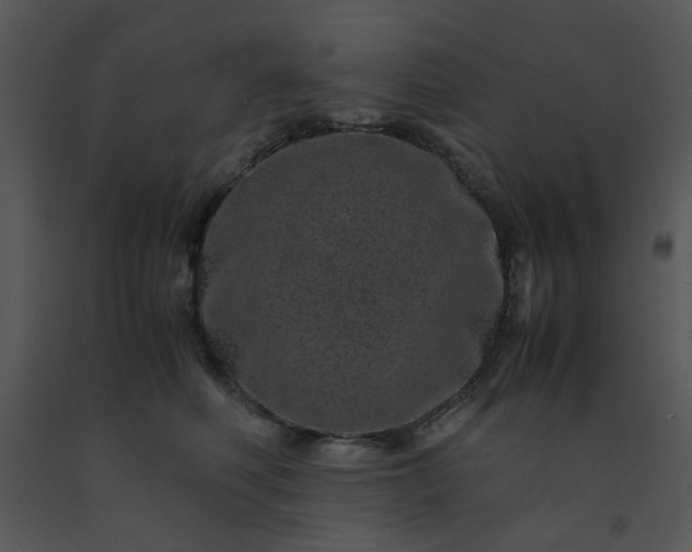 X0000091450614200708301811