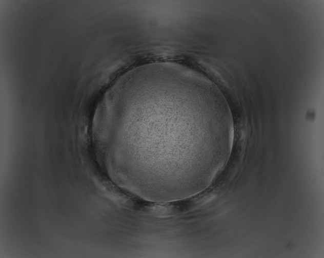 X0000091450615200708301811