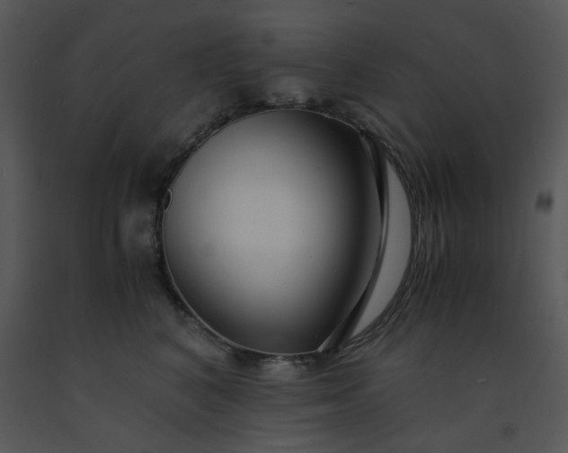 X0000091450616200708301811