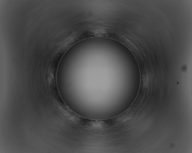 X0000091450618200708301811