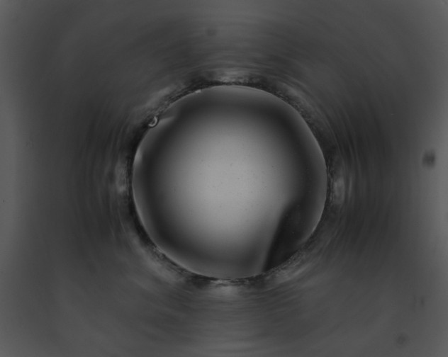 X0000091450620200708301811