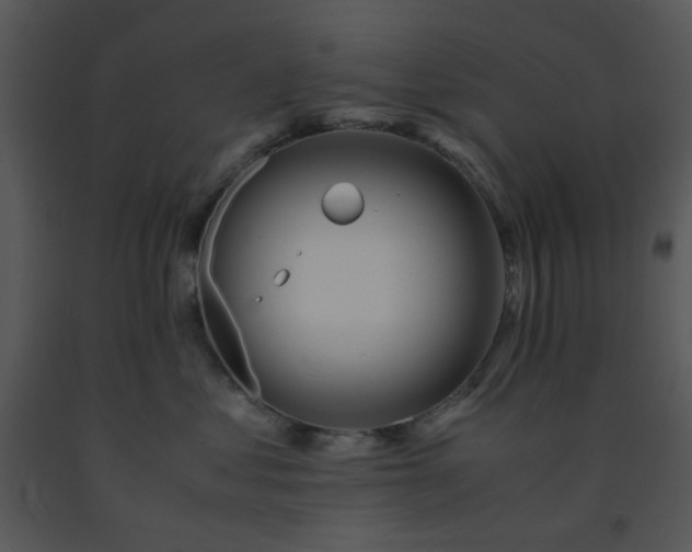X0000091450621200708301811
