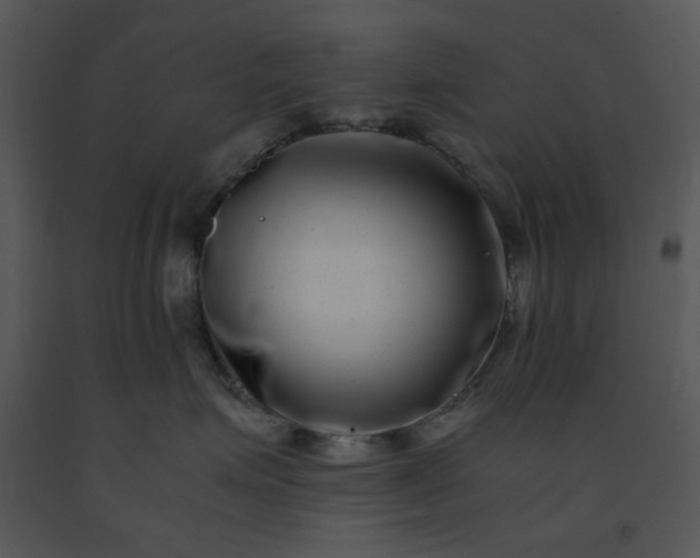 X0000091450623200708301811