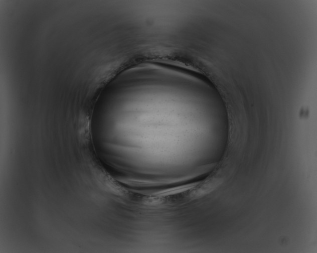 X0000091450624200708301811
