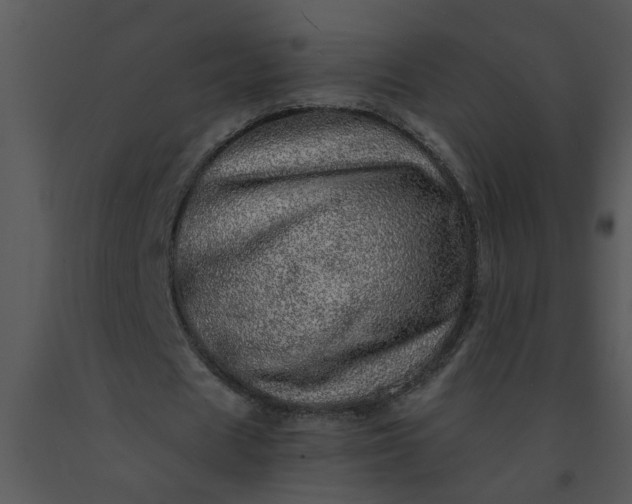 X0000091450625200708301810