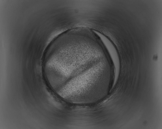 X0000091450626200708301810