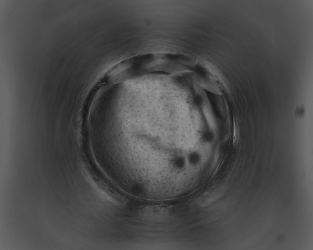 X0000091450627200708301810
