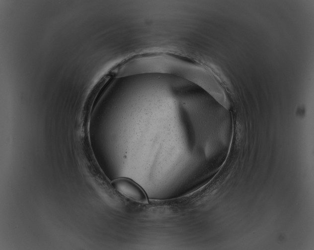 X0000091450628200708301811