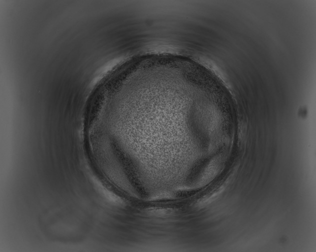 X0000091450629200708301811