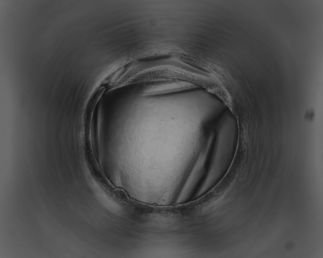 X0000091450630200708301811