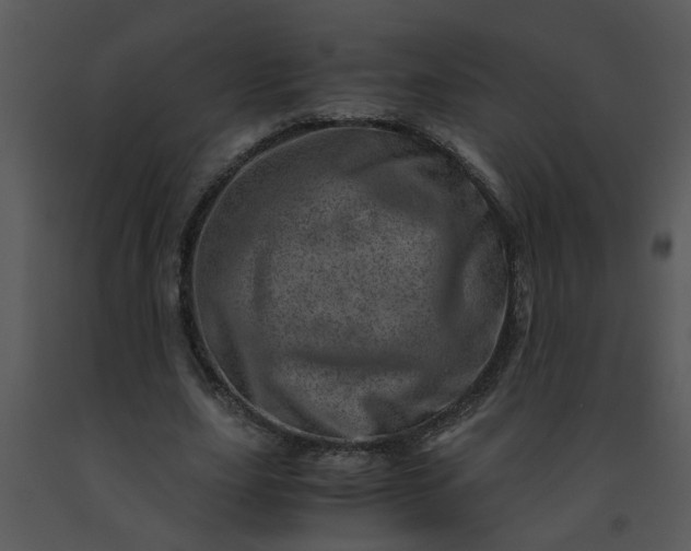 X0000091450631200708301811