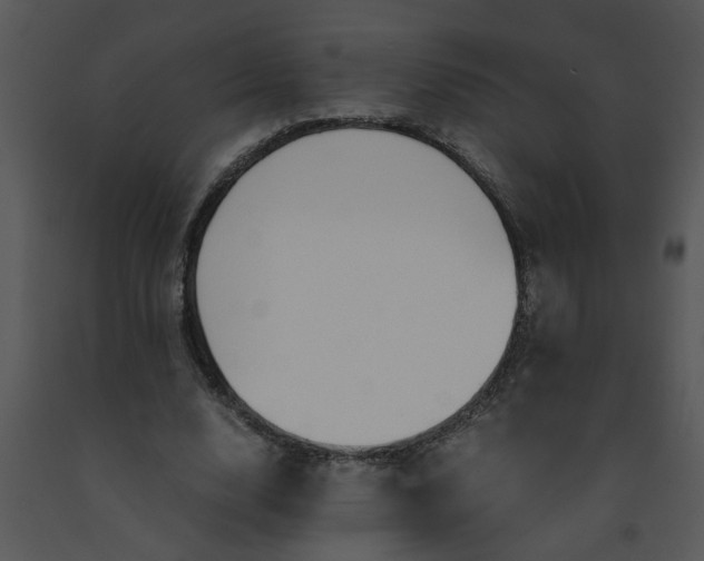 X0000091450632200708301811