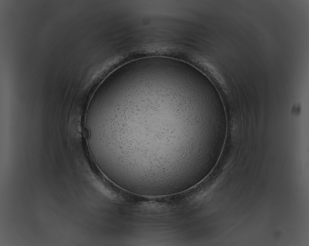 X0000091450633200708301811