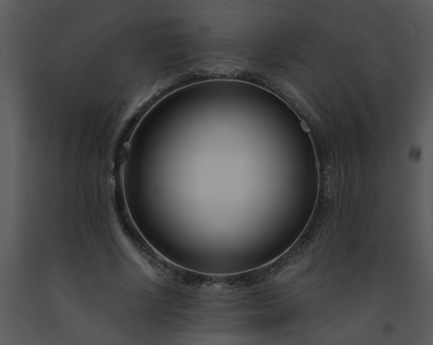 X0000091450634200708301811