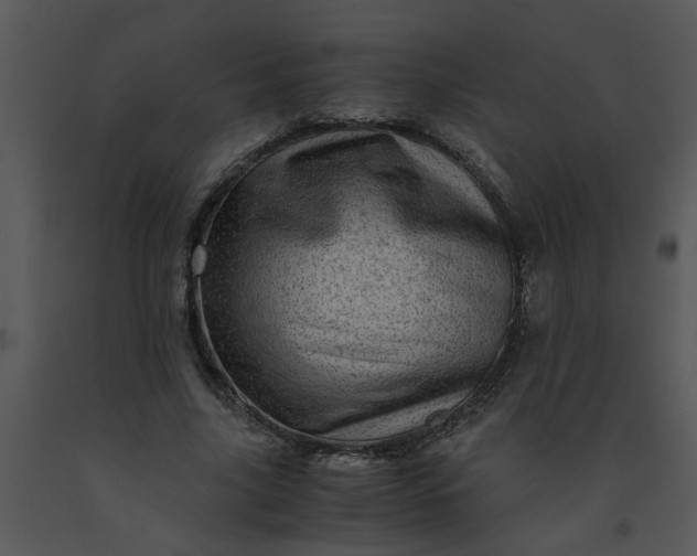 X0000091450635200708301811