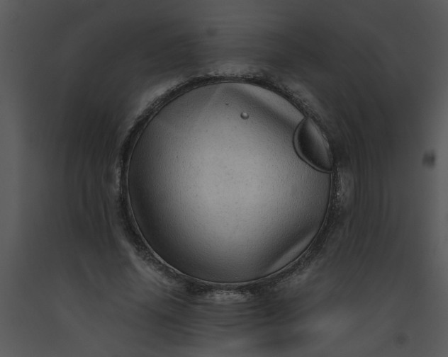 X0000091450636200708301811